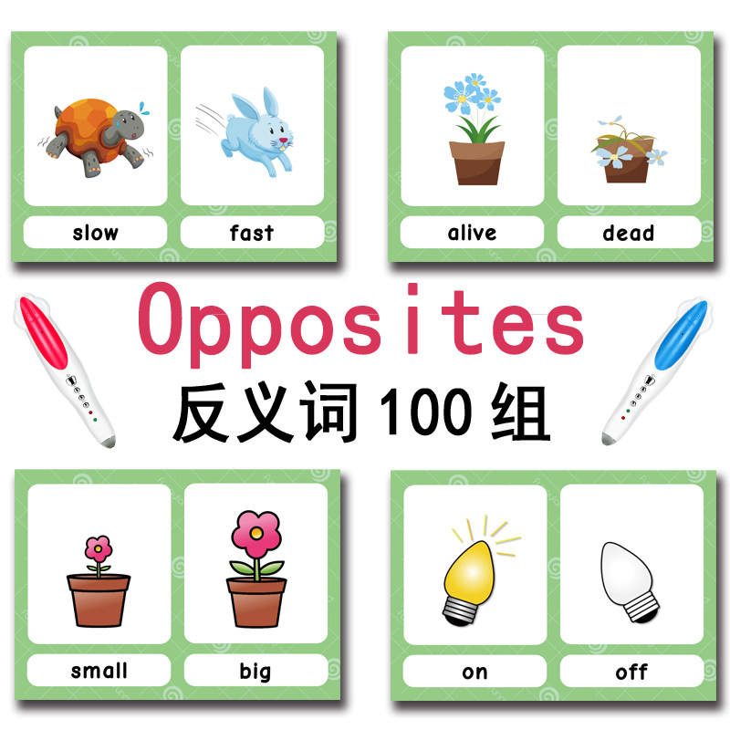 Die 100 Gruppen Gegensätze Ler – Kids Toys Learning Bewertung und Preis