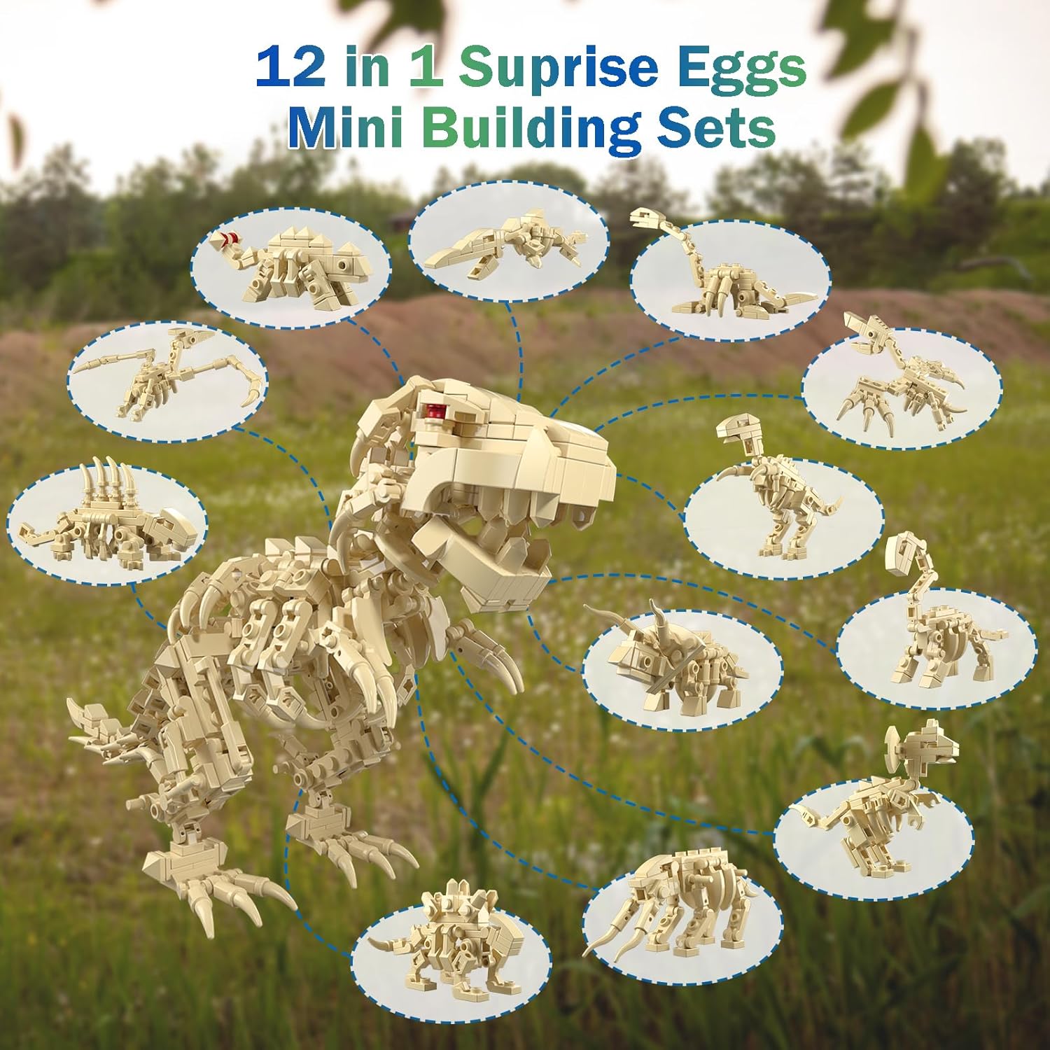 12-in-1 Dinosaurier-Skelett-Ba – Dinosaur Figurine Set Bewertung und Preis
